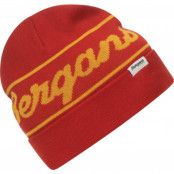 Bergans Logo Beanie