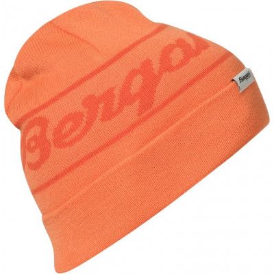 Youth Logo Beanie (2022)