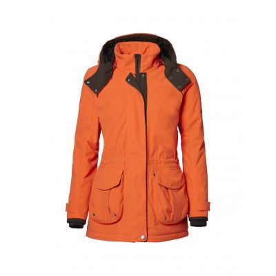 Chevalier Basset Jacka Dam Orange