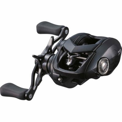 Daiwa 21 Tatula TW 80H multirulle