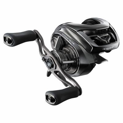 Daiwa 24 Steez SV TW multirulle 100HL