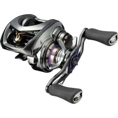 Daiwa 25 Steez CT SV TW multirulle 70XH