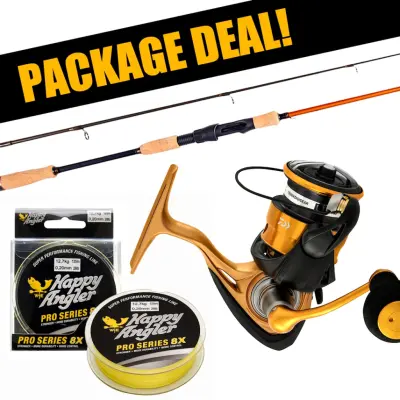 Daiwa Aird Stugmästaren + 23 Aird LT haspelset med flätlina