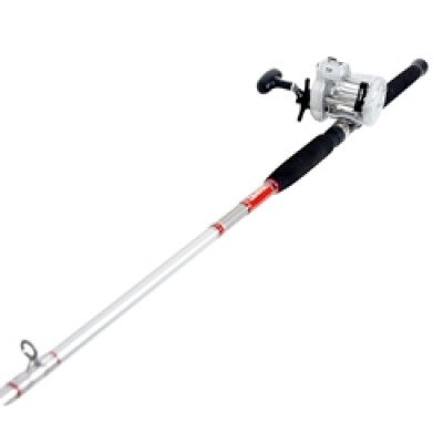 Daiwa Downrigger Combo AD47B + SWTR802DT