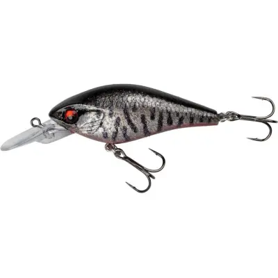 Daiwa Prorex Toddler Crank