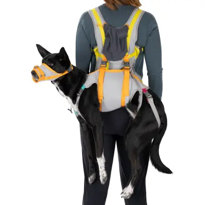 Ruffwear Backtrak Dog Evacuation Kit Cloudburst Gray