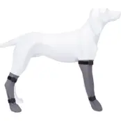 Trixie Skyddssock Silikon L: 10cm/40cm Grå