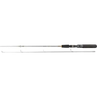 Daiwa Silvercast