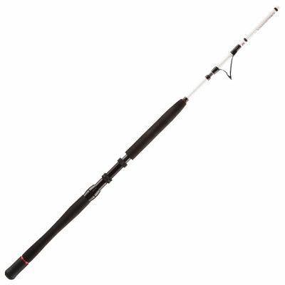 Penn Squadron II Travel Boat spinnspö -30lb
