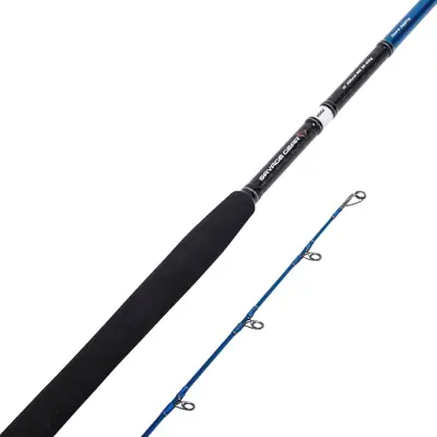 Savage Gear SGS2 Shore Jigging haspelspö 290 cm 20-80 g