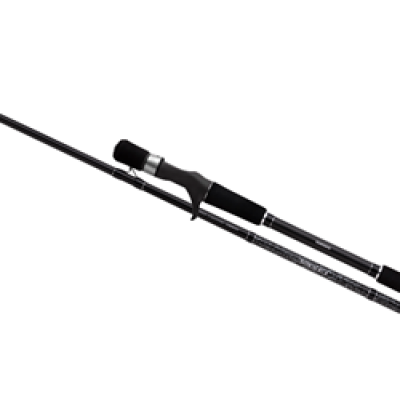 Shimano Yasei Pike Casting 250Xh 40-100G Cork