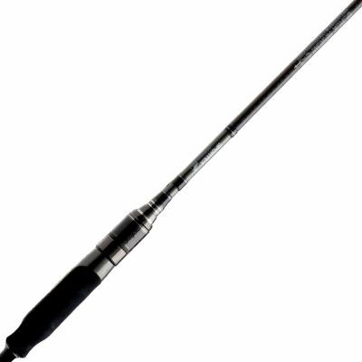 Sportex Black Arrow G-3 Musky Baitcast spinnspö 255cm 200-300g