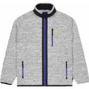 Picture Organic Clothing Men's Dauwy Fz Fleece Grey Melange