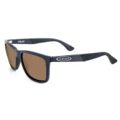 Vision Aslak polariserade solglasögon Polarflite Brown
