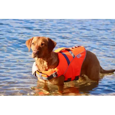 Active Canis Life Jacket M-L