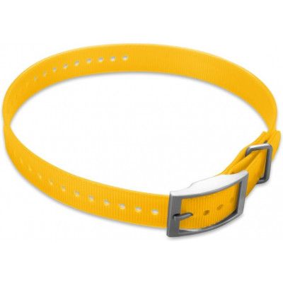 1-inch Collar Straps