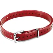 Garmin Halsband T5 mini - Rött (rullspänne)