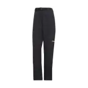 Adidas Terrex TechRock Gore-Tex Pants Women Black L