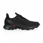 Alphacross 3 Gore-Tex, Black, 46 2/3