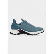 Alphacross 3 Gore-Tex, Bluestone/White/Mallard Blue, 41 1/3