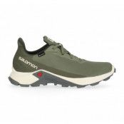 Alphacross 3 Gore-Tex, Green, 40