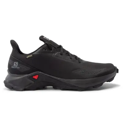 Alphacross Blast Gtx, Black, 44