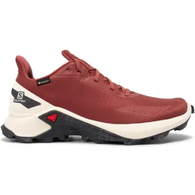 Alphacross Blast Gtx W, Apple Butter, 41 1/3