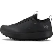 Arc'teryx Men's Sylan Gore-Tex Black / Black