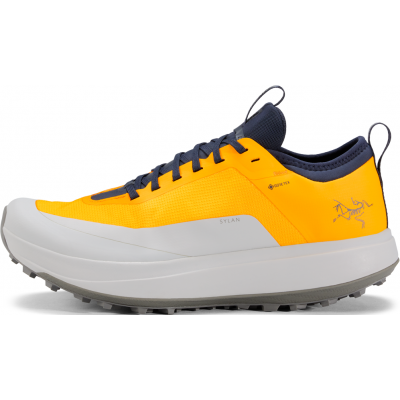 Arc'teryx Men's Sylan GORE-TEX Edziza/Solitude