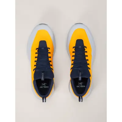 Arc'teryx Men's Sylan GORE-TEX Edziza/Solitude