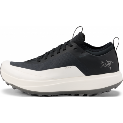 Arc'teryx Women's Sylan GORE-TEX Black/Arctic Silk