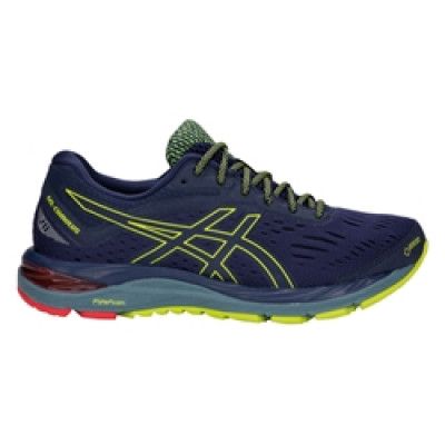 Asics Gel-Cumulus 20 G-TX