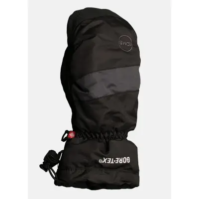 Dorado Gtx M Mitt, Blk/Charcoal, S,  Skidhandskar