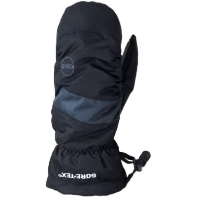 Men's Dorado GORE-TEX Mittens