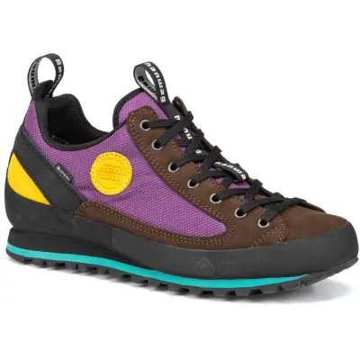Hanwag Men's Rotpunkt Low Gore-Tex Brown/violet