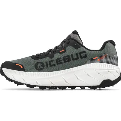 Icebug Men's Arcus 2 BUGrip GORE-TEX Grey
