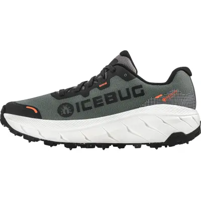 Icebug Women's Arcus 2 BUGrip GORE-TEX Grey