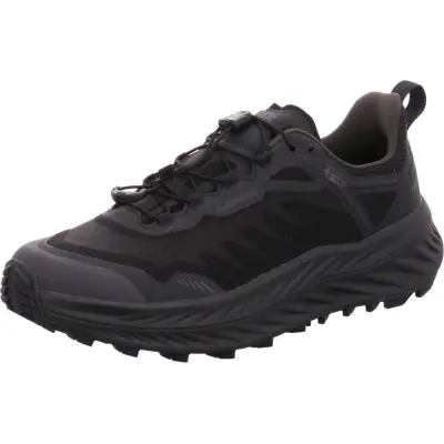 Lowa Men's Fortux GTX