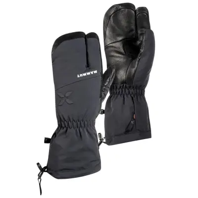 Mammut Eigerjoch Pro Svart