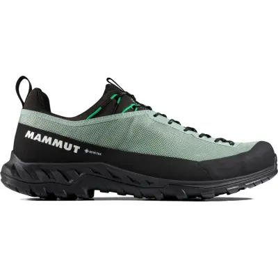 Mammut Men's Alnasca Iv Low Gtx  Deep Silver Sage-pinea