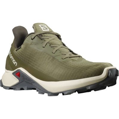 Men's Alphacross 3 Gore-Tex
