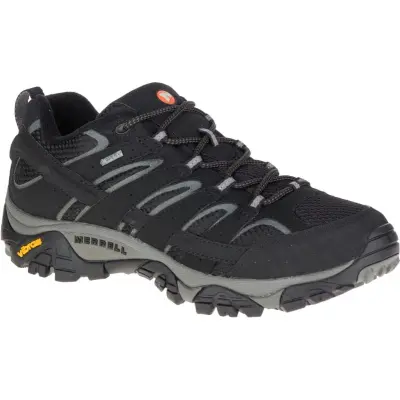 Men's Moab 2 Gore-Tex