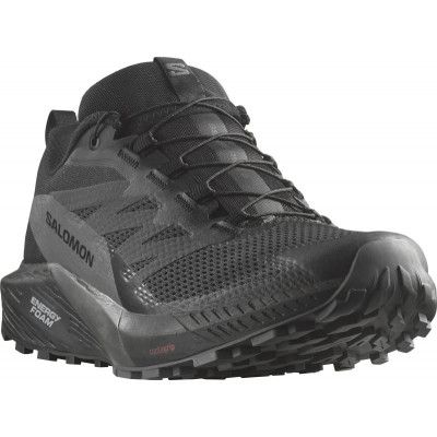 Salomon Men's Sense Ride 5 GORE-TEX Black/Magnet/Black