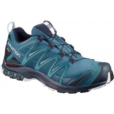 Men's XA Pro 3d GTX Lyons