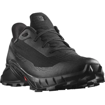 Salomon Men's Alphacross 5 GTX UK 10,5 Musta (Outlet)