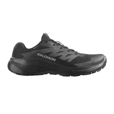Salomon Men's Alphaglide GTX