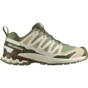 Salomon Men's XA 3D Pro V9 GORE-TEX Deep Lichen Green/safari/dark Earth