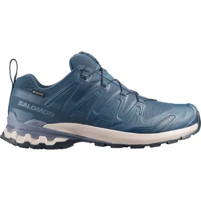 Salomon Men's XA 3D Pro V9 GORE-TEX Spellbound/Grisaille/Maritime Blue