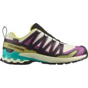 Salomon Men's XA 3D Pro V9 GORE-TEX Transparent Yellow/Black/Waterfall