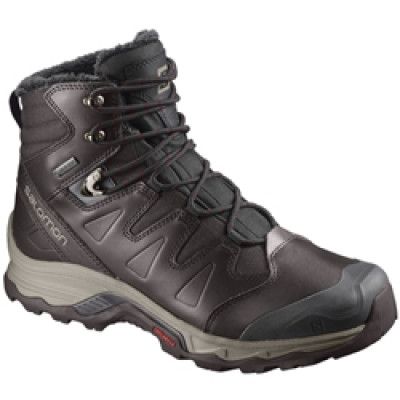 Salomon Quest Winter GTX
